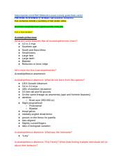 Illustrative PwnHero archive thumbnail for Anthropology 101 Final - Kobari; source document not shown