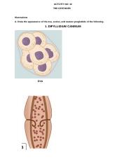 Illustrative PwnHero archive thumbnail for Understanding Cestodes: T. solium vs. T. saginata &; source document not shown