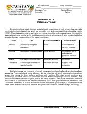 Illustrative PwnHero archive thumbnail for Understanding Epithelial Tissue: Functions and Characteristics; source document not shown
