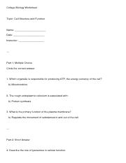 Illustrative PwnHero archive thumbnail for College Biology Worksheet; source document not shown