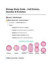 Illustrative PwnHero archive thumbnail for Exam 3 BIOL study guide; source document not shown