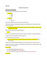 Illustrative PwnHero archive thumbnail for BIOL 203 Exam 3 Study Guide; source document not shown