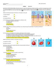 Illustrative PwnHero archive thumbnail for BIOL 203 Exam Paper Exam 2 Fall 2012; source document not shown