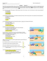 Illustrative PwnHero archive thumbnail for BIOL 203 Exam Paper Exam 3 Version A Answers Spring 2014; source document not shown