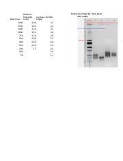 Illustrative PwnHero archive thumbnail for dna graph thing; source document not shown