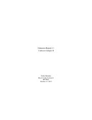 Illustrative PwnHero archive thumbnail for Lab Report PDF; source document not shown