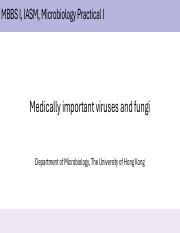 Illustrative PwnHero archive thumbnail for Microbiology Practical II-Medically imporant viruses and fungi 2024; source document not shown