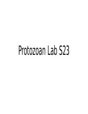 Illustrative PwnHero archive thumbnail for Protozoa Lab F25; source document not shown