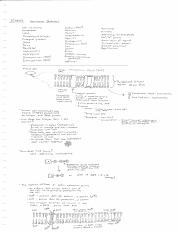 Illustrative PwnHero archive thumbnail for BIOL 336 Notes Summer 2013; source document not shown