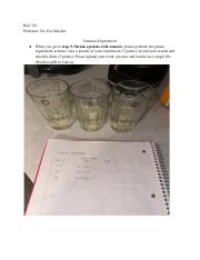 Illustrative PwnHero archive thumbnail for Biol 336 - Week 1 Osmosis Exp; source document not shown
