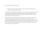 Illustrative PwnHero archive thumbnail for Biol 336 - Week 1 Sodium Potassium Pump; source document not shown