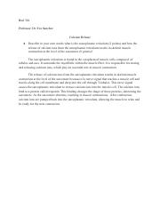 Illustrative PwnHero archive thumbnail for Biol 336 - Week 2, Calcium Release; source document not shown