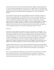 Illustrative PwnHero archive thumbnail for Exam 2 Essay Questions; source document not shown