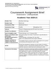 Illustrative PwnHero archive thumbnail for Assessment Brief 2 2020 Upload Jan 11th; source document not shown
