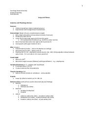 Illustrative PwnHero archive thumbnail for N202 Lungs & Thorax; source document not shown
