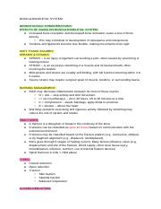 Illustrative PwnHero archive thumbnail for MUSCULOSKELETAL SYSTEM pt1; source document not shown