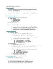 Illustrative PwnHero archive thumbnail for stroke and seizures; source document not shown